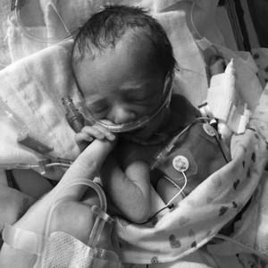 Meet your Posher, Holly